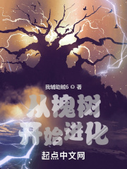 �ӻ�����ʼ����