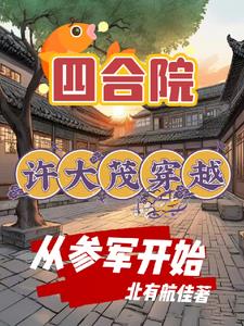 四合院:特种兵穿越参军航空报国