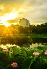 �ص����ͳ�